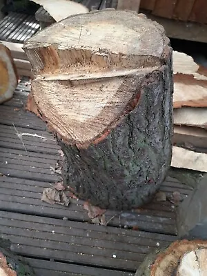 £25 • Buy Oak Tree Trunk Wood Log Piece