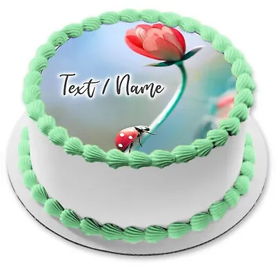 Ladybug Happiness Cake Picture Edible Party Decoration Personalized Name Communion • £8.64
