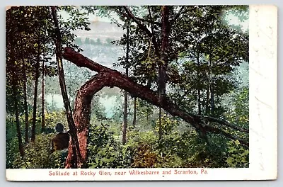 Wilkes-Barre-Scranton PA~Moosic (Rocky Glen) Fallen Tree Near Pond~1908 • $6.50