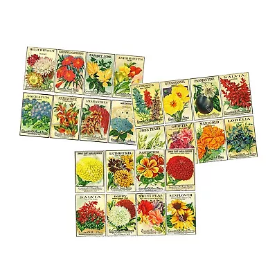 Seed Packet & Gardening Gifts Garden Sticker Reproductions Vintage Seed Art • $20.25