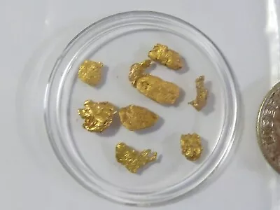 Genuine Gold Nuggets 1.009 Grams Raw And Unaltered • $96