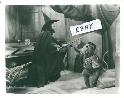 The Wizard Of Oz  -  8x10 Movie Photo - Margaret Hamilton • $9.99