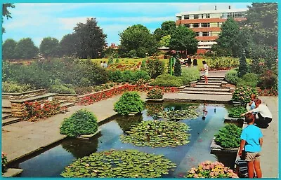 Vintage Postcard Lily Pond Castle Park Colchester • £1.41
