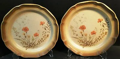 Mikasa Whole Wheat Jardiniere Dinner Plates 10 3/4  E8016 Set Of 2 Excellent • $22.99