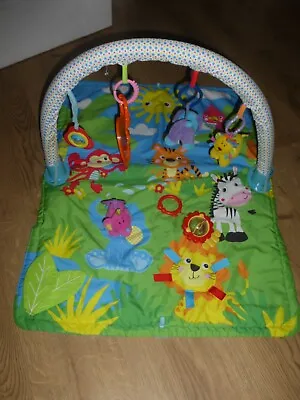 Baby Activity Play Gym From Carousel • £2