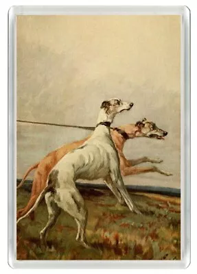 Greyhound 2 Dogs Coursing Dog Art Print Novelty Acrylic Fridge Magnet Great Gift • £3.49