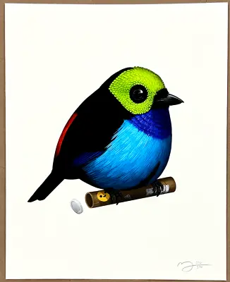 Paradise Tanager Fat Bird Art Print By Mike Mitchell S/n #530/570 *sold Out* • $50