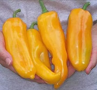 Pepper Seed - Sweet Marconi Golden Seeds • $10.98