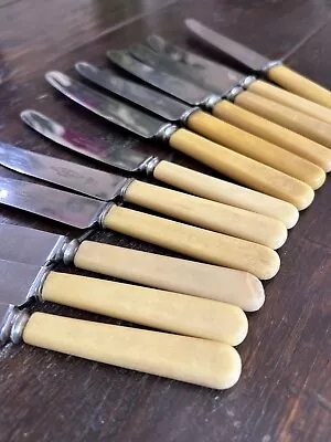 Sheffield Knife Set Of Twelve Faux Bone Vintage Cutlery Dinnerware Flatware MCM • $40