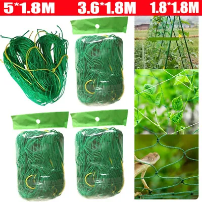 £7.01 • Buy UK Climbing Plant Support Mesh Garden Net Netting Clematis Cucumber Bean Trellis
