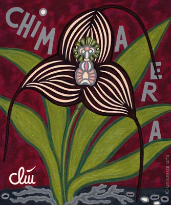 JACQUELINE DITT - Masdevallia Chimaera Dracula Orchid 2018 Paintings Orchid • $1435.12