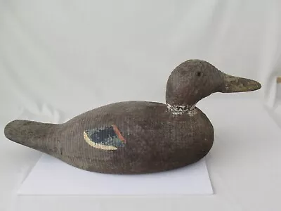 Vintage Pintail DUCK Decoy Has Glass Eyes  Is Hand Carved Ocean Bird • $79.99