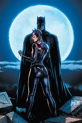 Batman And Catwoman Moon Light Poster Gotham • $20