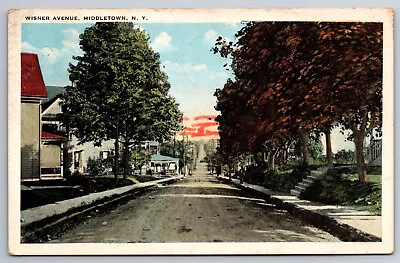 Vintage Postcard NY Middletown Wisner Avenue C1923 White Border ~8382 • $1.97