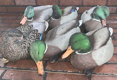 Avian-X Floating Mallard Duck Decoys - Lot Of 6 • $89.99