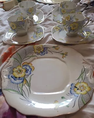 Vintage Salisbury Fine China Cornflower Teaset Vgc • £12