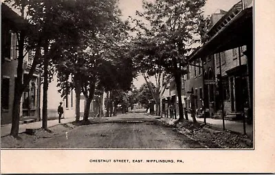 Postcard Chestnut Street East Mifflinburg Pa. *C6736 • $5