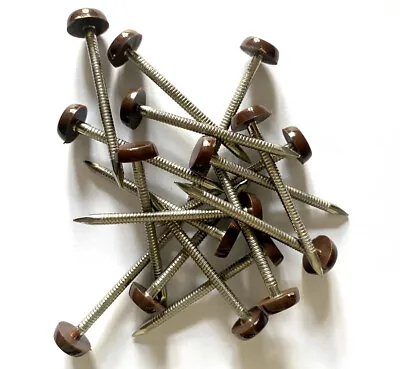 £3.79 • Buy 25 X 50mm Brown UPVC Plastic Headed Pins Nails Poly Top A4 Stainless Steel