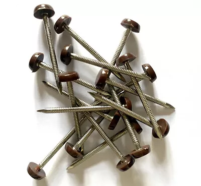£3.79 • Buy 25 X 50mm Brown UPVC Plastic Headed Pins Nails Poly Top A4 Stainless Steel