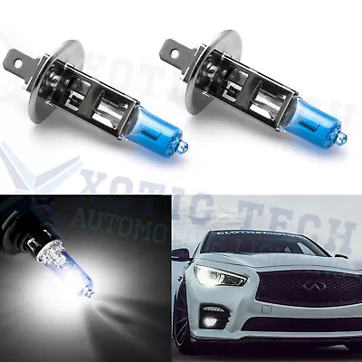 H1 Halogen Light HID Xenon White 6000K Replace Headlight High Beam DRL Bulbs Kit • $10.99