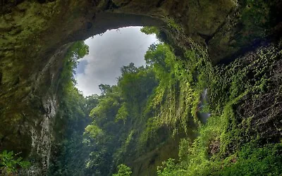 Guided Meditation Cd Journey Into A Rainforest Discover An Ancient City • £3.99