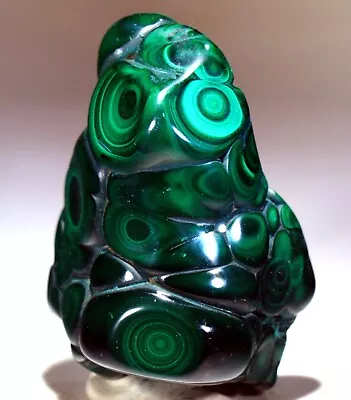 3.2  7.6 Oz Top Quality Polished Bull's Eye Malachite Congo! M687 • $55