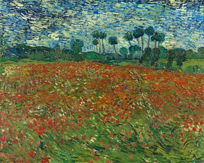 Hand-painted Oil Painting Vincent Van Gogh Poppy Field June 1890 • $99.60