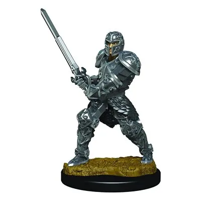 $20.95 • Buy Dungeons & Dragons Premium Male Human Fighter Pre-Painted Figure