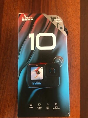 $550 • Buy Go Pro 10 With Accessories 