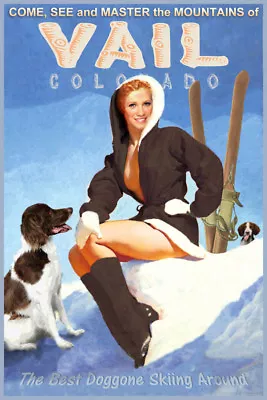 $29.50 • Buy Vail Colorado Snow Ski Travel Poster Brittany Spaniel Dogs Pin Up Art Print 328