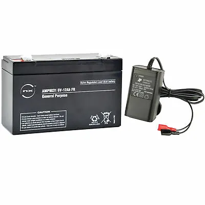 £29.95 • Buy Toy Car Battery And Charger Combo 6v 10ah Battery & 6 Volt Mains Charger NEW