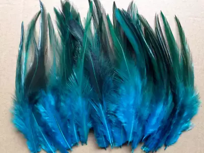 BULK 50pcs Aqua Blue Rooster Feathers 9-15cm DIY Craft Millinery Dream Catcher • $9.95