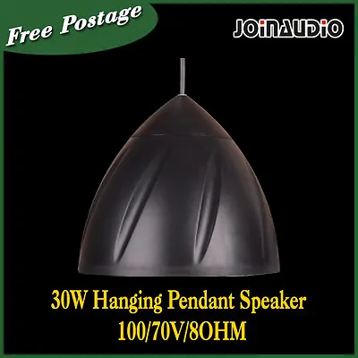 High Quality Hanging Pendant Speaker 30W 100/70V/8OHM Black Church/School/Hall • $90