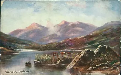 Snowdon From Capel Curig Tucks Oilette 8539 • £4.60