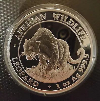 2023 Somalia African Wildlife LEOPARD 1oz 9999 Silver Coin In Capsule • £30