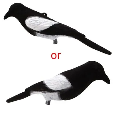 Magpie Bird Painted Decoy For Outdoors Shot Hunting Shooting Lures Bait To • £6.77