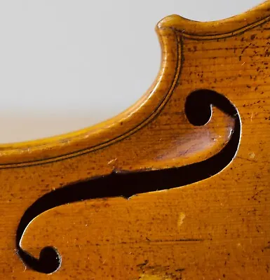 Old 4/4 Violin Geige Viola Cello Bratsche Fiddle Label E TOM CARCASSI Nr. 259 • $415.61
