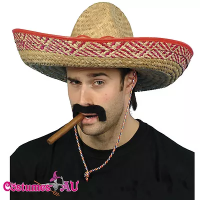 Mens Mexican Embroidered Sombrero Straw Hat Spanish Fiesta Fancy Dress Costume • £10.64