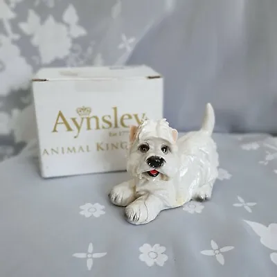 £14.99 • Buy Rare Aynsley Animal Kingdom Westie Pup Dog Ornament Collectible 4  X 3  