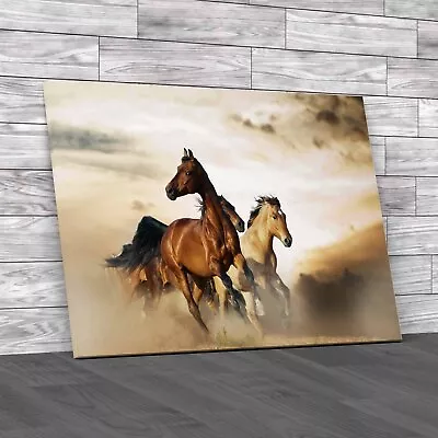 Beautiful Horses Of Different Breeds Original Canvas Print Large Picture Wall • £14.95