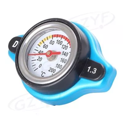 1.3 Bar Thermostatic Radiator Cap Water Temperature Gauge Universal • $13.66