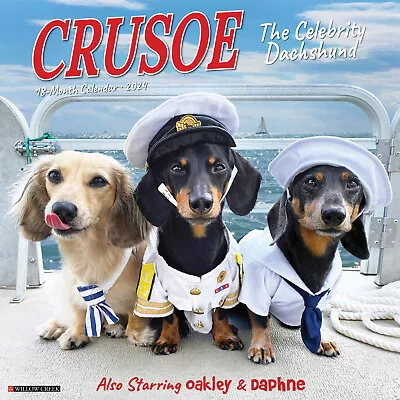 Crusoe The Celebrity Dachshund 2024 12  X 12  Wall Calendar (free Shipping) • £12.10