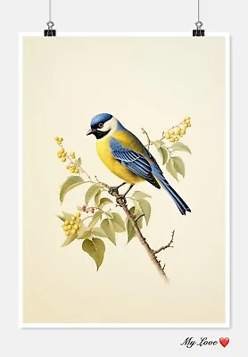 Vintage Blaumeise Bird - DIY Chart Counted Cross Stitch Patterns Needlework DMC • $15.99