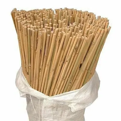 Bamboo Canes Thick Stake Garden Plant Flower Support Profesional Stick Cane Pole • £6.99