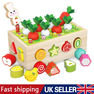 Montessori Toys For 1 2 3 Year Old Boys Girls Wooden Sorting Stacking Toys Kids • £12.99