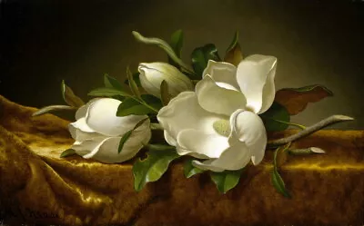 Magnolias On Gold Velvet Cloth Oil Painting HD Giclee Printed On Canvas P2012 • $10.99