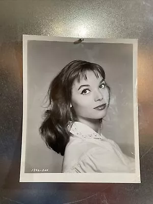 Elsa Martinelli Vintage Movie Press Release Photo 8x10 • $19.99