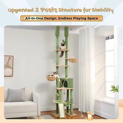 PETEPELA Cactus Cat Tree Tower Scratching Post Floor To Ceiling Condo House Bed • $119.99