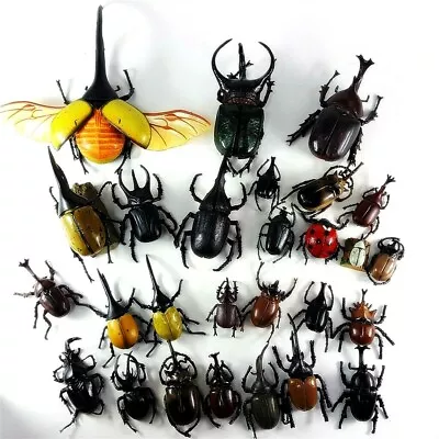 Beetle Insect Figure Set Of 27 Lot Sega Toys Mushiking Etc Japan Anime Toy • $39.90