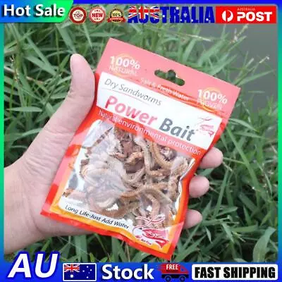 Lifelike Sandworms Fishing Lures Saltwater Feeder Sea Fishing Worms Soft Baits • $8.69